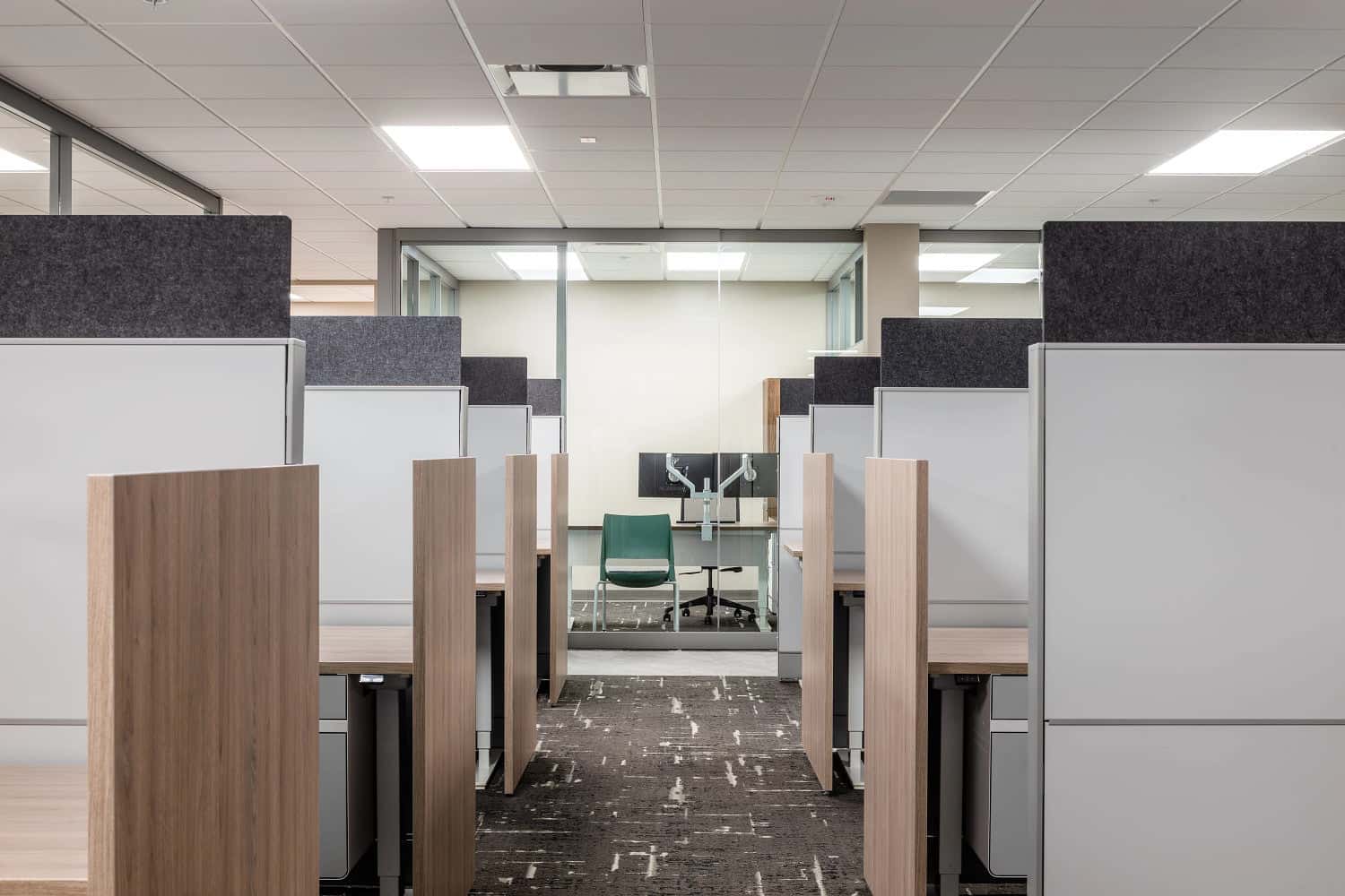 Staff Offices & Workstations