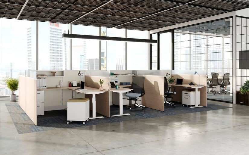 Completed open office installation with height-adjustable workstations and privacy panels