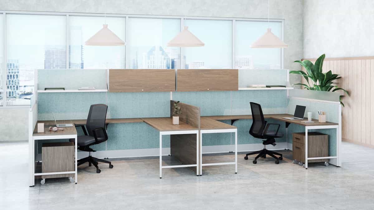 Modern open-plan office with panel-based cubicle workstations and ergonomic task chairs in Florida