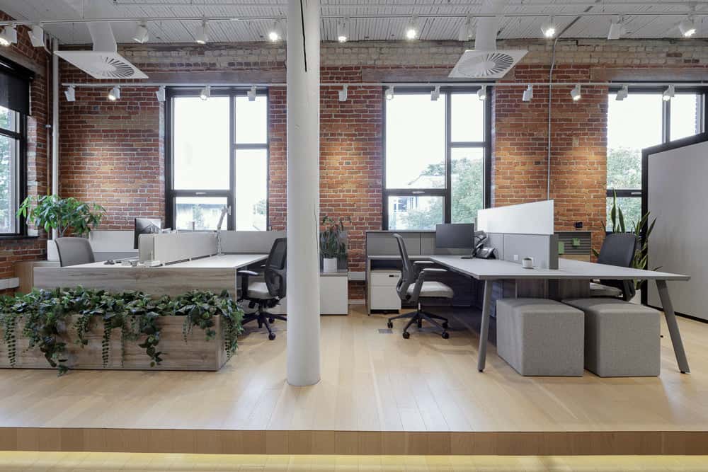 Executive & Management Offices