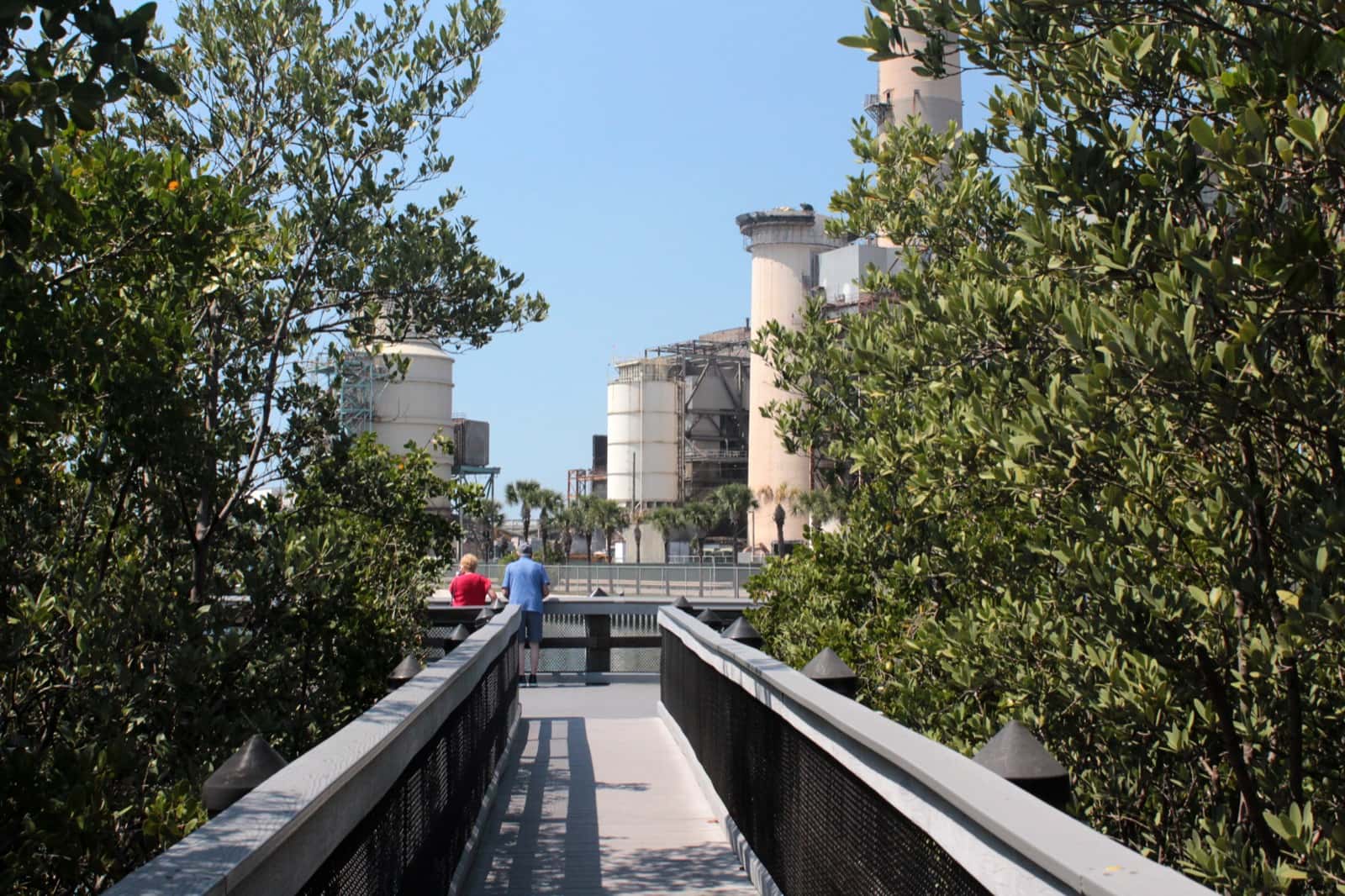 The Manatee Viewing Center boardwalk in Apollo Beach, Florida