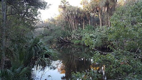 Turkey Creek in Palm Bay, Florida